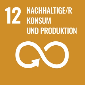 Nachhaltige Entwicklung: Ziel ---